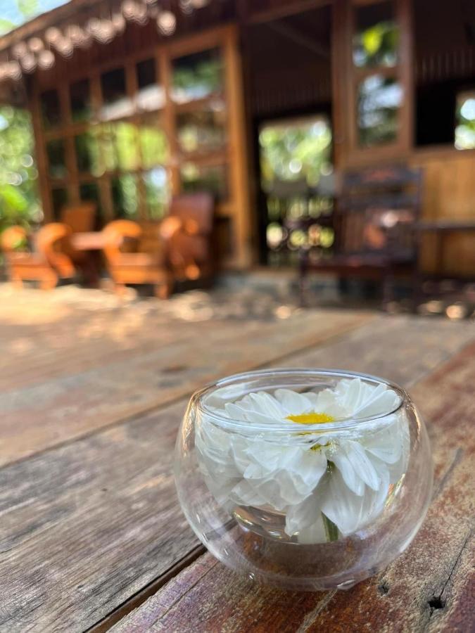 Moc An Nhien Farmstay Pleiku Esterno foto